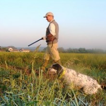 Cacciatore con Setter Inglese in ferma